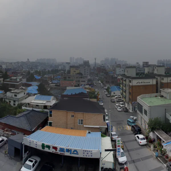 아로마 하니포레스트 테라피 안내 이미지