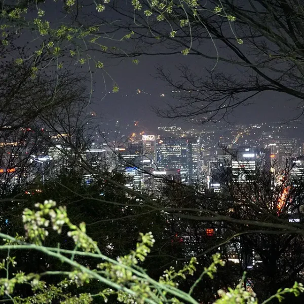 가든 미나라운지 테라피 안내 이미지