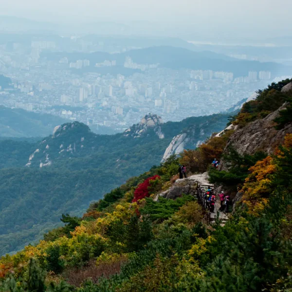가을라운지 마사지 안내 이미지